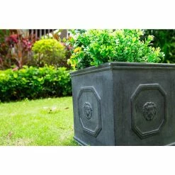 KANTE 12.6 in. W Square Antique Gray Lightweight Concrete/Fiberglass Indoor Outdoor English Lion Head Planter -VIGOR Plants Shop antique gray kante plant pots osf0172b c80451 1f 1000