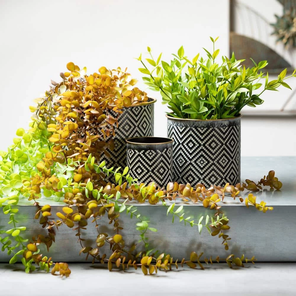 VIGOR Plants Shop 40 VIGOR Plants Shop -VIGOR Plants Shop black and white patterned sullivans plant pots met1828 44 1000