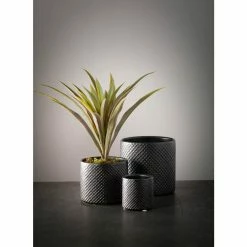SULLIVANS Black Ceramic Pot -Set of 3 -VIGOR Plants Shop black sullivans plant pots cm2939 1f 1000