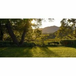 Vigoro Westbrook 36 in. x 48 in. Black Steel Fence Panel -VIGOR Plants Shop black vigoro garden fencing 860329 fa 1000