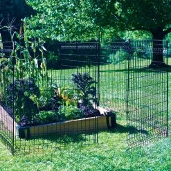 Vigoro 44 in. H x 36 in. W Steel Multi-Purpose No Dig Black Fence Panel -VIGOR Plants Shop black vigoro garden fencing 860411 31 1000