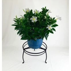 Vigoro 8 in. Black Metal Indoor Plant Stand -VIGOR Plants Shop black vigoro plant stands 51470 c3 1000