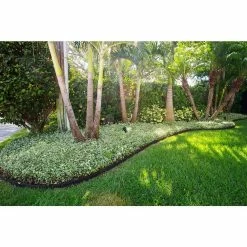 Vigoro EcoBorder 4 ft. Black Rubber Landscape Edging (Single) -VIGOR Plants Shop black vigoro rubber edging ecobrd blk 4 ft 76 1000