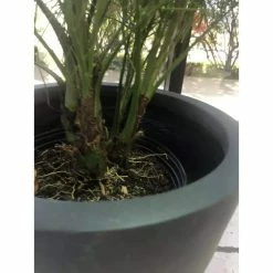 KANTE 16 in. W Round Charcoal Lightweight Concrete/Fiberglass Indoor Outdoor Elegant Bowl Planter -VIGOR Plants Shop charcoal kante plant pots osc0051b c60121 fa 1000