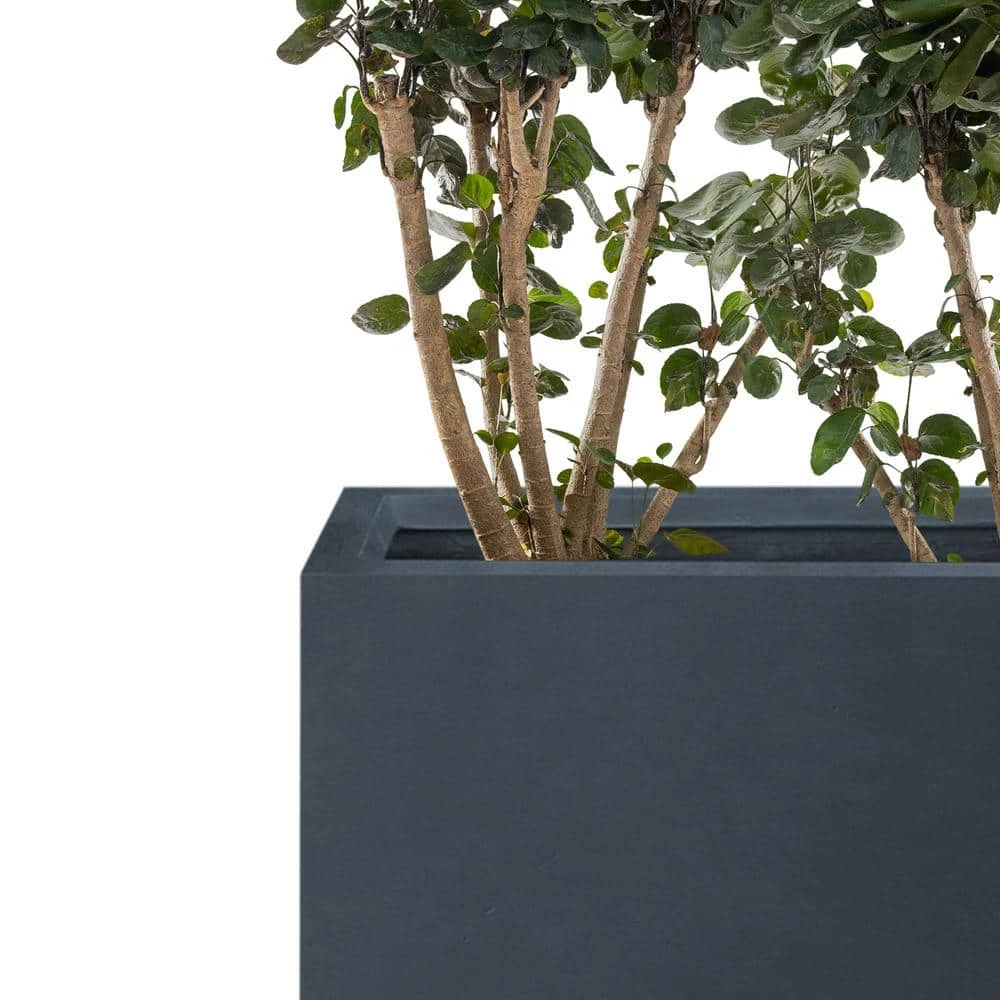 KANTE 23.6" and 19.4"L Rectangular Charcoal Finish Lightweight Concrete Long Planter w/ Drainage Hole Set of 2 Outdoor/Indoor 5 KANTE 23.6" and 19.4"L Rectangular Charcoal Finish Lightweight Concrete Long Planter w/ Drainage Hole Set of 2 Outdoor/Indoor - Image 3