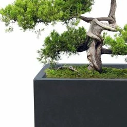 KANTE 31.4 in. & 23.6 in. L Rectangular Charcoal Lightweight Long Low Planters w/Drainage Hole (Set of 2), Outdoor/Indoor -VIGOR Plants Shop charcoal kante plant pots rf0147ab c60121 76 1000