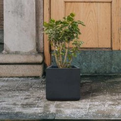 KANTE 11.81 x 11.81 in. Square Charcoal Lightweight Concrete and Weather Resistant Fiberglass Planter w/Drainage Hole -VIGOR Plants Shop charcoal kante plant pots rf0221b c60121 44 1000