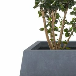 KANTE 21.2 in. and 16.1 in. W Square Charcoal Finish Lightweight Concrete/Fiberglass Planters with Drainage Holes (Set of 2) -VIGOR Plants Shop charcoal kante plant pots rf2015018ab c60121 4f 1000