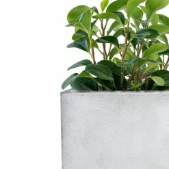 KANTE 31" and 23"L Rectangular Large Concrete Long Box Planters Set of 2, Outdoor/Indoor Strong UV Resistant w/Drainage Holes -VIGOR Plants Shop concrete kante plant pots rf0104ab c81921 76 1000