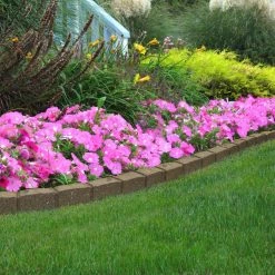 Vigoro Roman Stone 48 in. Rubber Garden Edging Earth (Pack of 2) -VIGOR Plants Shop earth vigoro rubber edging mt5001789cm 31 1000