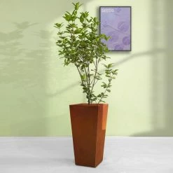 KANTE 24.4 in. H Rectangle Faux Weathering Steel Lightweight Concrete Tapered Tall Planter with Drainage Hole, Outdoor/Indoor -VIGOR Plants Shop faux weathering steel kante plant pots rf0004c c91942 76 1000
