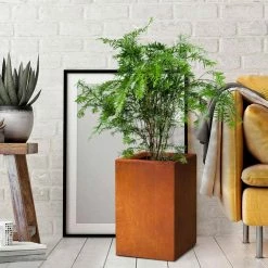 KANTE 16 in. H Faux Weathering Steel Finish Concrete Square, Modern Outdoor/Indoor Lightweight Planter Pot with Drainage Hole -VIGOR Plants Shop faux weathering steel kante plant pots rf0007b c91942 76 1000