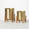 SULLIVANS Brass Planter On Stands - Set of 2 -VIGOR Plants Shop gold sullivans plant pots n2715 64 1000