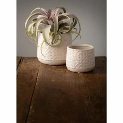 VIGOR Plants Shop 4 VIGOR Plants Shop -VIGOR Plants Shop gray sullivans plant pots cm2943 c3 1000