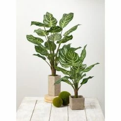 SULLIVANS Gray Cement Square Planter -VIGOR Plants Shop gray sullivans plant pots cmt1090 4f 1000