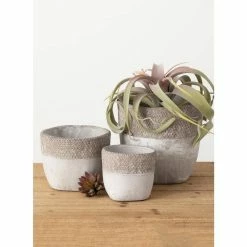 VIGOR Plants Shop 12 VIGOR Plants Shop -VIGOR Plants Shop gray sullivans plant pots cmt1187 c3 1000
