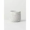 SULLIVANS Gray Patterned Cement Pot -VIGOR Plants Shop gray sullivans plant pots cmt1188 64 1000