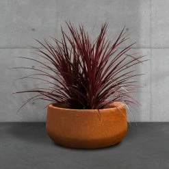 KANTE 16 in. Dia. Round Iron Oxide Concrete Bowl Planter, Outdoor Indoor Large Planter Pot with Drainage Hole -VIGOR Plants Shop iron oxide kante plant pots rc0051b c80621 44 1000