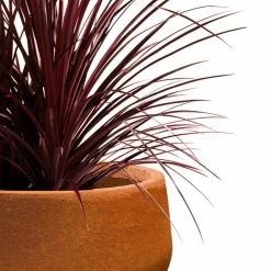 KANTE 16 in. Dia. Round Iron Oxide Concrete Bowl Planter, Outdoor Indoor Large Planter Pot with Drainage Hole -VIGOR Plants Shop iron oxide kante plant pots rc0051b c80621 fa 1000
