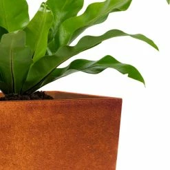 KANTE 28 in. H Iron Oxide Lightweight Concrete Tapered Planter with Drainage Hole, Large Outdoor/Indoor Tall Square Planter -VIGOR Plants Shop iron oxide kante plant pots rf0229a s c80621 31 1000