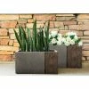 KANTE 31 in and 23 in. L Rectangular Lodgepole Concrete/Fiberglass Indoor Outdoor Elegant Long Planters (Set of 2) -VIGOR Plants Shop lodgepole kante plant pots osf0219ab c81051 64 1000