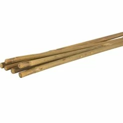 Vigoro Bamboo 6 ft. Natural Stake -VIGOR Plants Shop natural bamboo beige vigoro tomato cages bb6vg 4f 1000