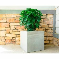 KANTE 15 in. W Square Natural Concrete/Fiberglass Indoor Outdoor Elegant Planter -VIGOR Plants Shop natural concrete kante plant pots osf0128b c80021 fa 1000