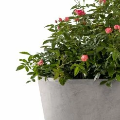 KANTE Large, Medium, Small Round Natural Finish Lightweight Concrete and Weather Resistant Fiberglass Planters (Set of 3) -VIGOR Plants Shop natural concrete kante plant pots rc0154bcd c80021 1f 1000