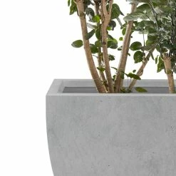 KANTE Square Natural Finish Lightweight Concrete & Weather Resistant Fiberglass Planters with Drainage Holes (Set of 3) 14 KANTE Square Natural Finish Lightweight Concrete & Weather Resistant Fiberglass Planters with Drainage Holes (Set of 3) -VIGOR Plants Shop natural concrete kante plant pots rf0126abc c80021 1f 1000