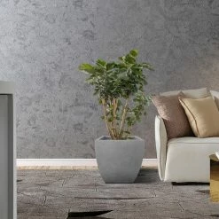 KANTE Square Natural Finish Lightweight Concrete & Weather Resistant Fiberglass Planters with Drainage Holes (Set of 3) 16 KANTE Square Natural Finish Lightweight Concrete & Weather Resistant Fiberglass Planters with Drainage Holes (Set of 3) -VIGOR Plants Shop natural concrete kante plant pots rf0126abc c80021 fa 1000