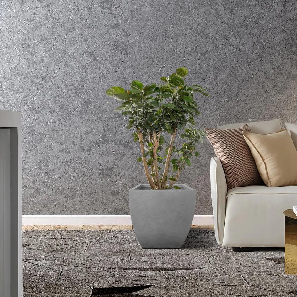 KANTE Square Natural Finish Lightweight Concrete & Weather Resistant Fiberglass Planters with Drainage Holes (Set of 3) 9 KANTE Square Natural Finish Lightweight Concrete & Weather Resistant Fiberglass Planters with Drainage Holes (Set of 3) - Image 7