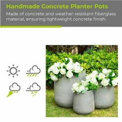 KANTE 17.3 in. Tall Natural Lightweight Concrete Footed Tulip Outdoor Round Planter (Set of 3) -VIGOR Plants Shop natural kante plant pots rf2015022bcd c80021 fa 1000