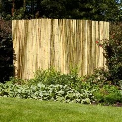 Vigoro 6 ft. x 8 ft. Natural Full Round Bamboo Fence