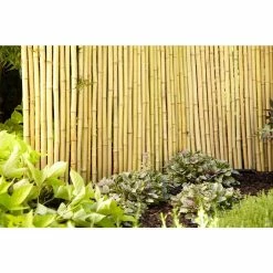 Vigoro 4 ft. H x 6 ft. W Natural Bamboo Fence 11 Vigoro 4 ft. H x 6 ft. W Natural Bamboo Fence -VIGOR Plants Shop natural vigoro garden fencing 4477405 c3 1000