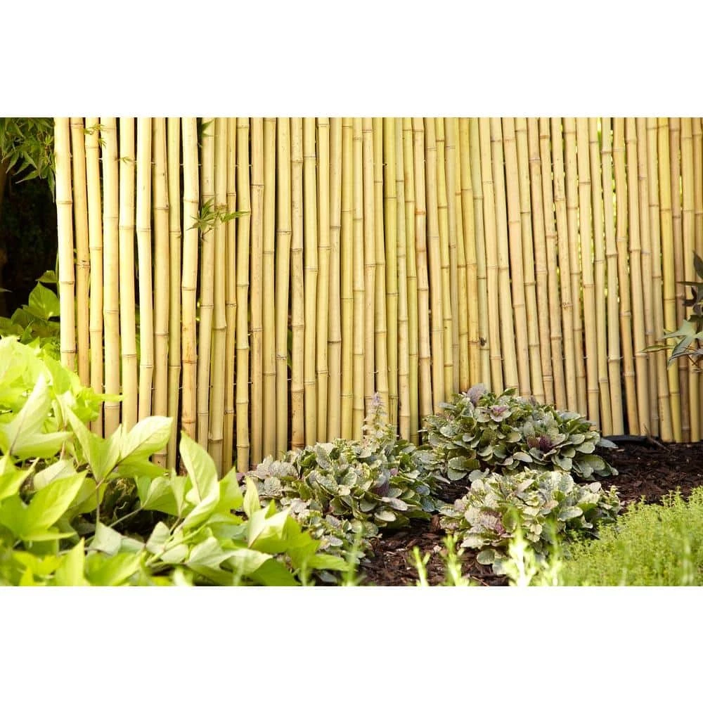 Vigoro 4 ft. H x 6 ft. W Natural Bamboo Fence 5 Vigoro 4 ft. H x 6 ft. W Natural Bamboo Fence - Image 3