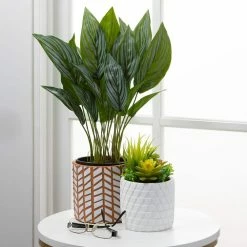 SULLIVANS Geometric Print Terracotta Pot - Set of 3 -VIGOR Plants Shop orange and white patterned sullivans plant pots cmt1200 4f 1000