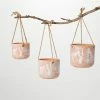 SULLIVANS Terracotta Herb Hanging Ceramic Planters - Set of 3 -VIGOR Plants Shop orange sullivans plant pots cm3008 64 1000