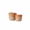 SULLIVANS Orange Cement Planter (Set of 2) 1 SULLIVANS Orange Cement Planter (Set of 2) -VIGOR Plants Shop orange sullivans plant pots cmt1180 64 1000