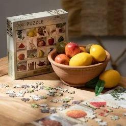 SULLIVANS Adobe Cement Dish Planter - Set of 3 10 SULLIVANS Adobe Cement Dish Planter - Set of 3 -VIGOR Plants Shop orange sullivans plant pots cmt1218 1f 1000