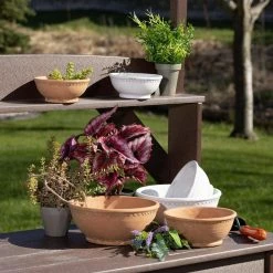 SULLIVANS Adobe Cement Dish Planter - Set of 3 9 SULLIVANS Adobe Cement Dish Planter - Set of 3 -VIGOR Plants Shop orange sullivans plant pots cmt1218 4f 1000
