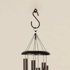 Vigoro 1.77 in. x 0.157 in. x 3.35 in. Black Metal Extender Hooks (2-Pack) -VIGOR Plants Shop powder coating vigoro plant hangers 541117 66 1000