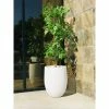 KANTE 21.7 in. H Round Pure White Concrete Indoor Outdoor Modern Tall Planter 2 KANTE 21.7 in. H Round Pure White Concrete Indoor Outdoor Modern Tall Planter -VIGOR Plants Shop pure white kante plant pots osc0066a c80011 64 1000