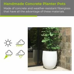 KANTE 21.7 in. H Round Pure White Concrete Indoor Outdoor Modern Tall Planter -VIGOR Plants Shop pure white kante plant pots osc0066a c80011 d4 1000