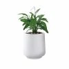KANTE 17.3 in. H Round Pure White Concrete Planter, Outdoor Indoor Large Planter Pots Containers with Drainage Holes -VIGOR Plants Shop pure white kante plant pots rf2015022b c80011 64 1000