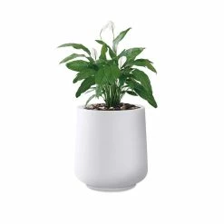 KANTE 17.3 in. H Round Pure White Concrete Planter, Outdoor Indoor Large Planter Pots Containers with Drainage Holes