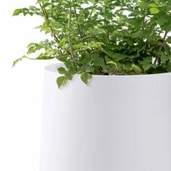 KANTE 13.4 in. H Pure White Tuliped Round Concrete Planter, Outdoor Indoor Large Planter Pots, Containers with Drainage Holes -VIGOR Plants Shop pure white kante plant pots rf2015022c c80011 44 1000