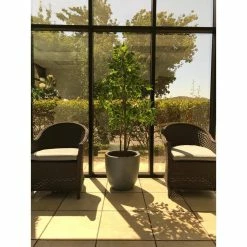 KANTE 10 in. W Round Slate Gray Concrete/Fiberglass Indoor Outdoor Elegant Planter 22 KANTE 10 in. W Round Slate Gray Concrete/Fiberglass Indoor Outdoor Elegant Planter -VIGOR Plants Shop slate gray kante plant pots osc0050a c60611 76 1000