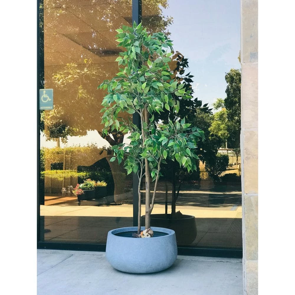 KANTE 20 in. W Round Slate Gray Lightweight Concrete/Fiberglass Indoor Outdoor Elegant Bowl Planter 4 KANTE 20 in. W Round Slate Gray Lightweight Concrete/Fiberglass Indoor Outdoor Elegant Bowl Planter - Image 2