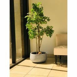 KANTE 20 in. W Round Slate Gray Lightweight Concrete/Fiberglass Indoor Outdoor Elegant Bowl Planter 18 KANTE 20 in. W Round Slate Gray Lightweight Concrete/Fiberglass Indoor Outdoor Elegant Bowl Planter -VIGOR Plants Shop slate gray kante plant pots osc0051c c60611 44 1000