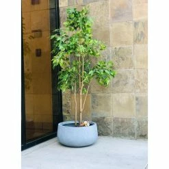 KANTE 20 in. W Round Slate Gray Lightweight Concrete/Fiberglass Indoor Outdoor Elegant Bowl Planter 14 KANTE 20 in. W Round Slate Gray Lightweight Concrete/Fiberglass Indoor Outdoor Elegant Bowl Planter -VIGOR Plants Shop slate gray kante plant pots osc0051c c60611 66 1000